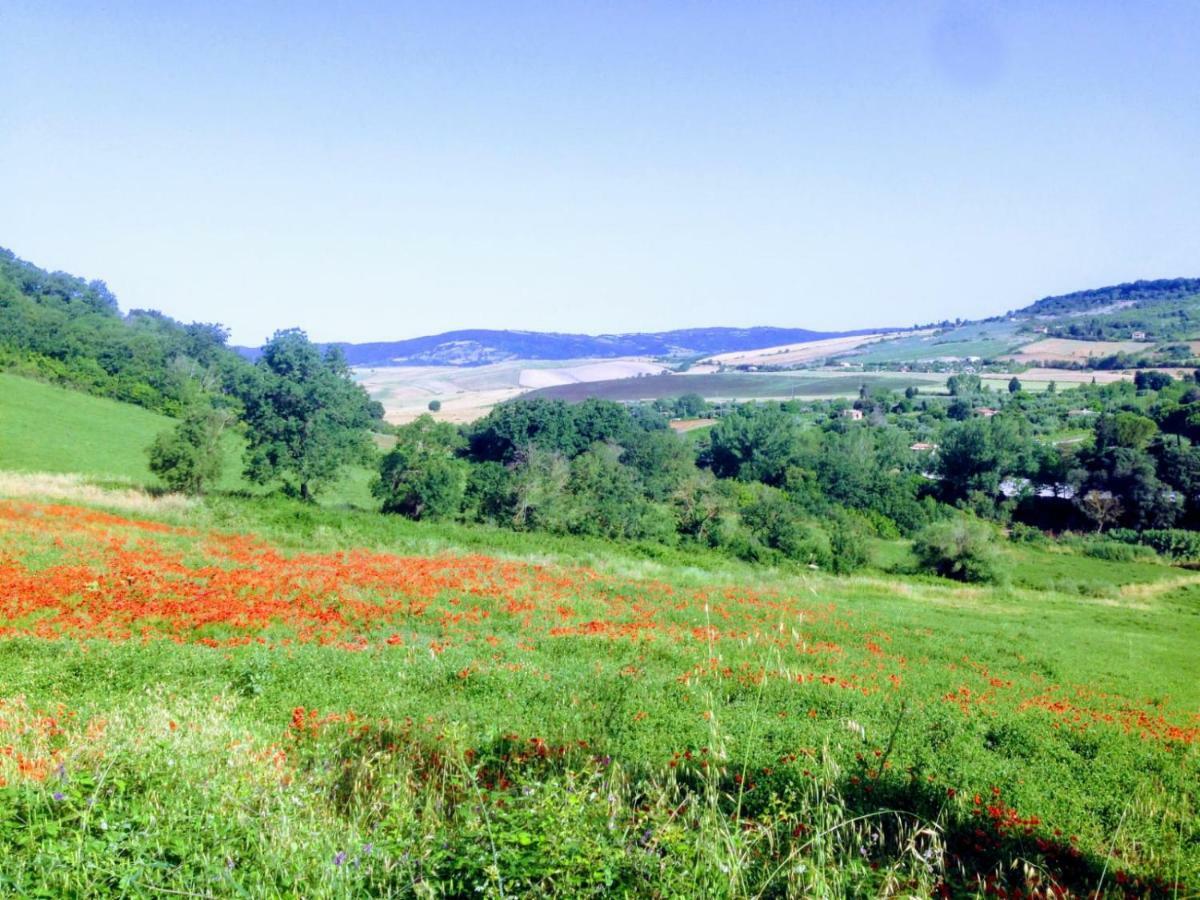 B&B Maremma'S Dream Catabbio Exterior photo